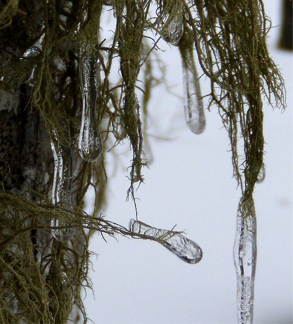 DSCN0621 crop